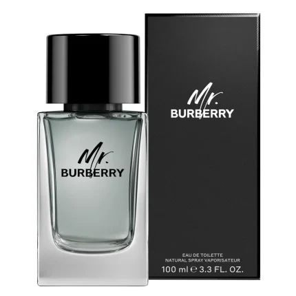 BURBERRY MR BURBERRY EDT 100ML