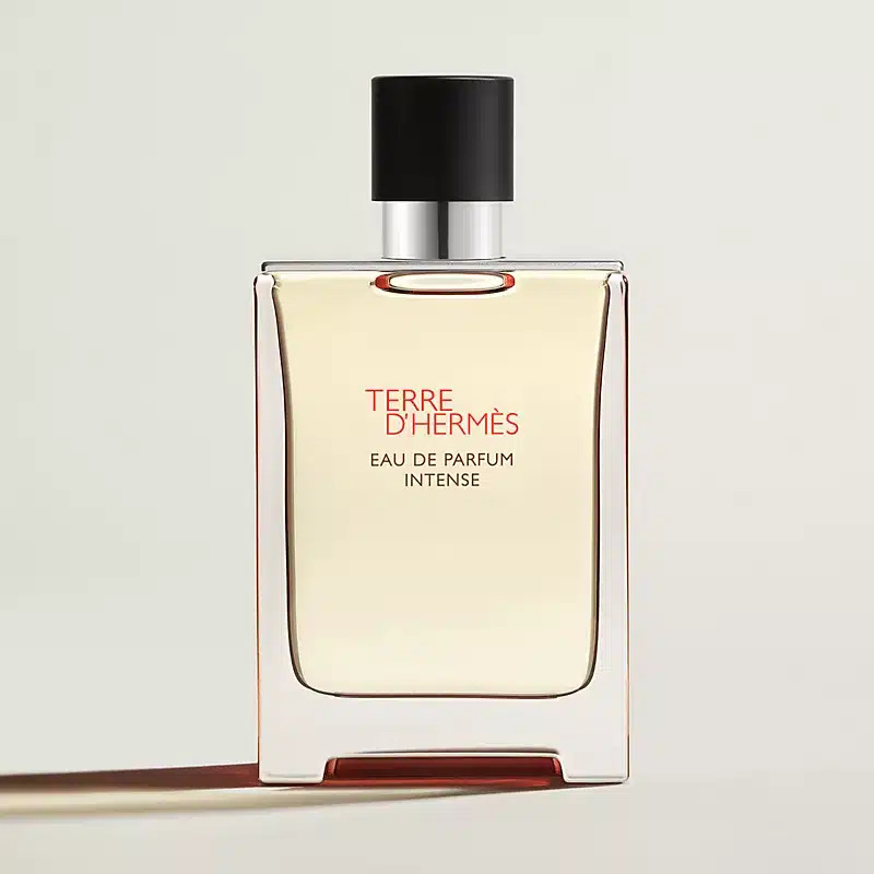 795 TERRE D HERMES INTENSE EDP 100ML - Image 1